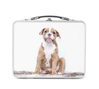 Fabulous Lunch Box in metallo argentato per sandwich e snack, splendido bulldog cucciolo bianco e marrone, baby cane carino, scatola da gustare in alluminio, ciotola rigida, stile retrò, stampata in