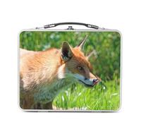 Fabulous Lunch Box in metallo argentato per sandwich e snack, volpe rossa, tiri la lingua vita selvaggia, prato, paesaggio naturale, contenitore per assaggiare in alluminio, ciotola rigida, stile