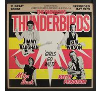 FABULOUS THUNDERBIRDS - same LP