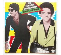 Fabulous Thunderbirds - What's the word [Import anglais]