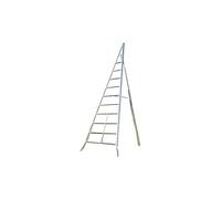 Facal Scala alluminio agricoltura, Alluminio, 2.5 m