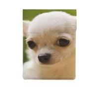 Faccia di cane Chihuahua bianco, Custodia per laptop in pelle PU, borsa per notebook, custodia per laptop, custodia per tablet