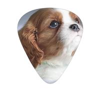 Faccia di Cavalier King Charles Spaniel,12 pezzi di plettri per chitarra, 3 plettri di diverso spessore per chitarra acustica, basso, ukulele