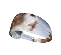 Faccia di Cavalier King Charles Spaniel,Fascia elastica per capelli multiuso unisex, fascia antisudore sportiva