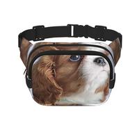 Faccia di Cavalier King Charles Spaniel, Marsupio quadrato a doppio strato, borsa da viaggio, marsupio casual