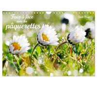 Face à face avec les pâquerettes (Calendrier mural 2026 DIN A4 vertical), CALVENDO calendrier mensuel: Regarder en face les robustes fleurs des champs qui résistent à la neige et à la glace