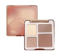 Face Contour Makeup | 4 in 1 Makeup Palette | Women’s Face Palette | Shadow Contour Powder | Highlighter Makeup Palette | Long-Lasting and High-Quality Powder for Various Occasions or Everyday Wear
