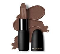 Faces Canada Weightless Matte Lipstick 4g Pretty Seppia 08 (Marrone)