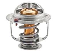 FACET 7.8493 Termostato motore 82°C