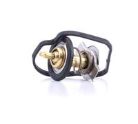 FACET 7.8590 Termostato motore