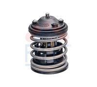 Termostato Refrigerante Facet 7.8762 Made In Italy - Oe Equivalent per Bmw