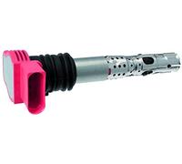 FACET Bobina d'accensione Sistema Di Accensione 9.6336