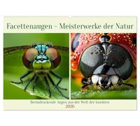 Facettenaugen - Meisterwerke der Natur (Wandkalender 2026 DIN A2 quer), CALVENDO Monatskalender: Beeindruckende Augen aus der Welt der Insekten