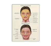 Facial Fat Pads Study Guide Poster Medical Anatomy Chart for Aesthetics Professionals Clinic Training Room Decor(Framed,16x24inch(40x60cm))