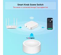 Facile da Gestire Illuminazione per Tuya Smart Controller con Supporto per Zigbe
