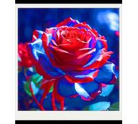 Facile Da Mantenere Rose rare Crescita Rapida Bellissimo Giardino-1bulbi-c