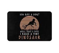 Facile da Pulire Zerbino Entrata Funny Bearded Dragon Pet Lizard Lover Reptile, Tappetino porta, Giardino, Casa, Cortile, Antiscivolo Tappeto da cucina 40X60cm