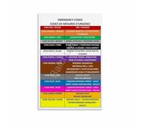 Facility Emergency Codes Color Code Chart Wall-Art for Office Control Room Security Room Decor(Framed,16x24inch(40x60cm))