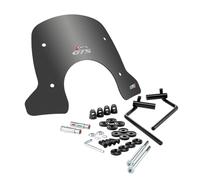 FACO 29210 Cupolino New Line Fumé Scuro Compatibile con Piaggio Vespa GTS 125/300 (2023) Incluso Staffe e Materiale di Montaggio