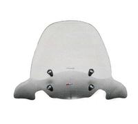 Faco Parabrezza Completo Di Attacchi Piaggio Carnaby 125 200