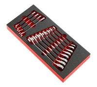 FACOM 12 Gear Wrench: Set Module: per Moto Ricambi Accessori