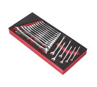 Facom Modulo Con 17 Gabel-Ringschlüsseln Ogv Profilo 6-24 MM IN Schiuma