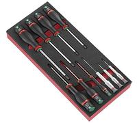 FACOM - Modulo in schiuma per 10 cacciaviti Protwist - PM.MODA6 - Adatto per cameriere CHRONO, JET, CHRONO XL, JET XL e JET+ - Materiale robusto e durevole - Adatto per un uso professionale