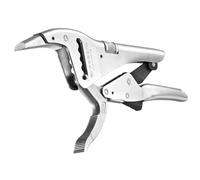 Pinze plurd - facce - 501apb - a beaks - longs