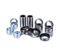 Factory Links Kit cuscinetti forcellone