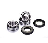 [Factory Links] Kit cuscinetti sterzo, compatibile con: Honda XR750, 650, 400, 250, 200, 125 XL600 700 CRF 230, 150 250L CR80, 85