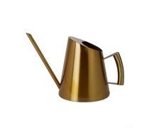 FACULX - Annaffiatoio elegante con beccuccio lungo, in acciaio inox, strumento per l'idratazione delle piante, per uso interno ed esterno, resistente alla ruggine, accessorio da giardinaggio per