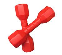 Faderr Set di 2 manubri per bambini, pesi a mano per allenamento della forza, set di manubri multiuso per ragazzi e ragazze (rosso)