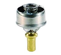 FAE 5202887 - Termostato, Refrigerante