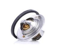 FAE 5204787 Termostato motore
