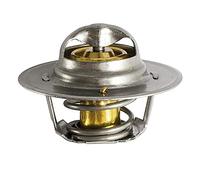 FAE 5204787 Termostato motore