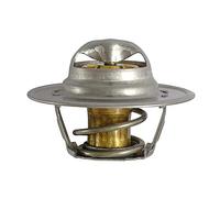 FAE 5205287 - Termostato, Refrigerante