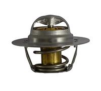 FAE 5205689 - Termostato, Refrigerante