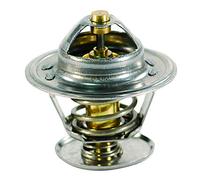 FAE 5302183 - Termostato, Refrigerante