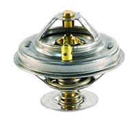 FAE 5305987 - Termostato, Refrigerante