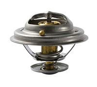 FAE 5307280 - Termostato, Refrigerante