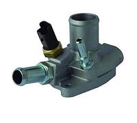 FAE 5314580 - Termostato, Refrigerante