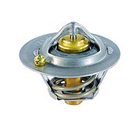 FAE 5323282 Termostato motore