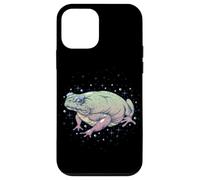 Fae Fairy Witchy Whimsigoth Goblincore Cottagecore Toad Frog Custodia per iPhone 12 mini