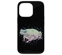 Fae Fairy Witchy Whimsigoth Goblincore Cottagecore Toad Frog Custodia per iPhone 13 Pro