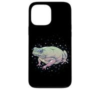 Fae Fairy Witchy Whimsigoth Goblincore Cottagecore Toad Frog Custodia per iPhone 13 Pro Max