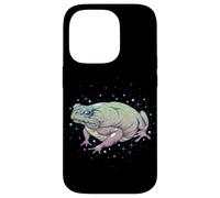 Fae Fairy Witchy Whimsigoth Goblincore Cottagecore Toad Frog Custodia per iPhone 14 Pro