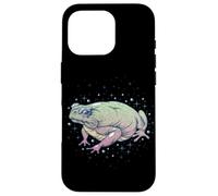 Fae Fairy Witchy Whimsigoth Goblincore Cottagecore Toad Frog Custodia per iPhone 16 Pro
