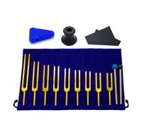 Faeymth Set di Diapason da 9 Pezzi, Diapason per Chakra Musicale, Terapia del Suono, Mantiene Corpo, Mente e In