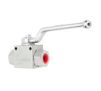 Fafeicy 4500 Psi Lavatrice a Pressione Valvola a Sfera in Acciaio Inossidabile -Controllo della Luce per Kit per la Pulizia Ad Alta Pressione Regolazioni di Connessione Rapida per Gli Specialisti