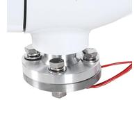 Fafeicy Generatore Eolico Orizzontale 300W 600W 12V 24V, 3 Pale, (12V)